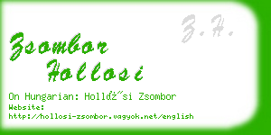 zsombor hollosi business card